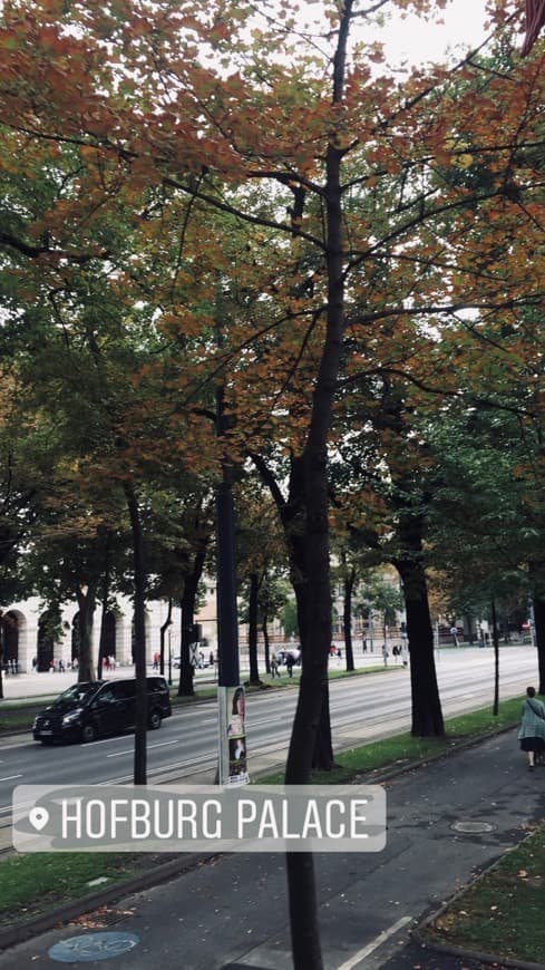 Place Hofburg palace- Wien