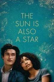 Movie The Sun Is Also a Star