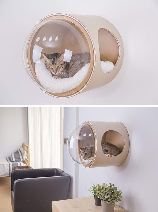 Moda cama para gato