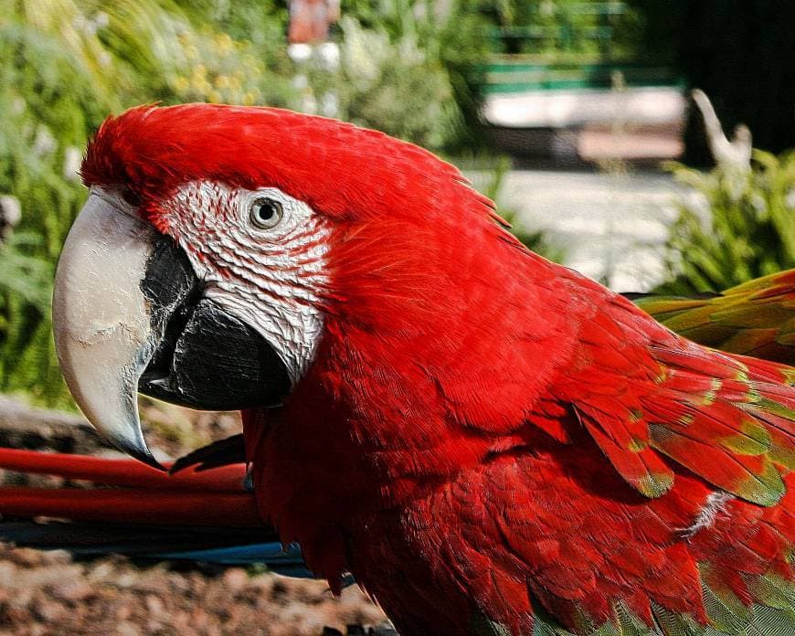 Lugar Jardim Zoológico de Lisboa