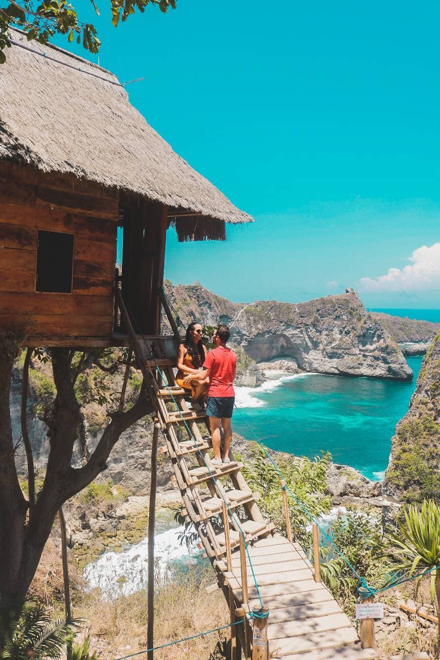 Lugar Rumah Pohon "Tree House"