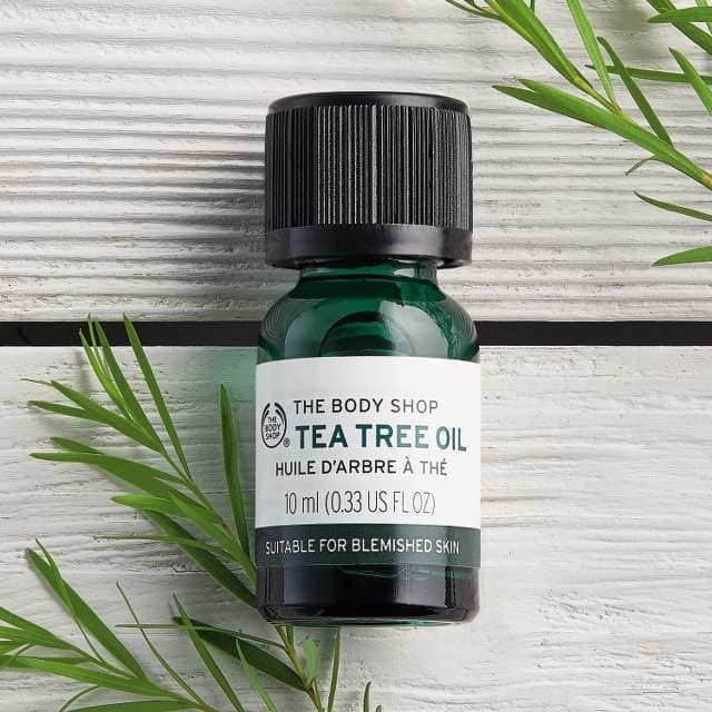 Producto Óleo De Tea Tree 10ml