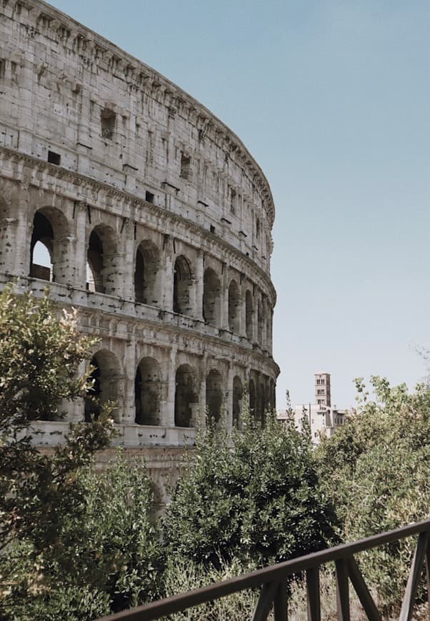 Place Coliseo de Roma