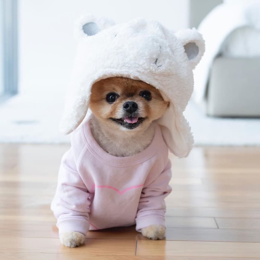 Moda JiffPom