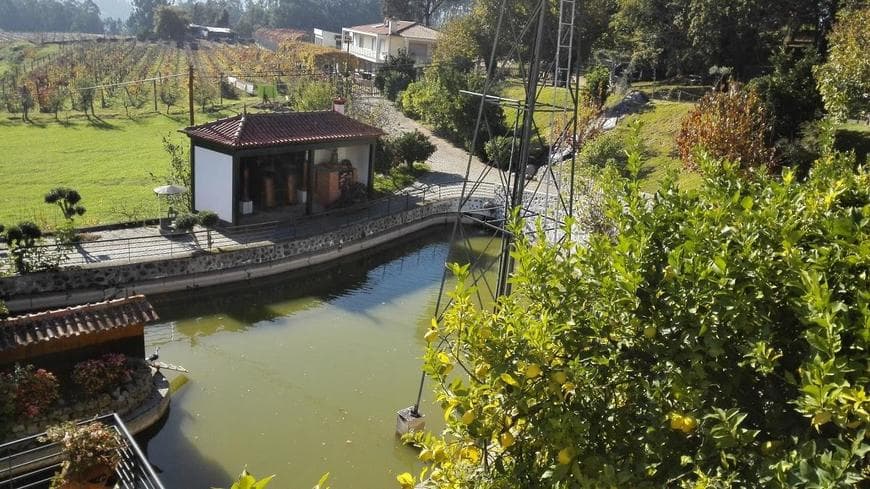 Restaurantes quinta da boavista