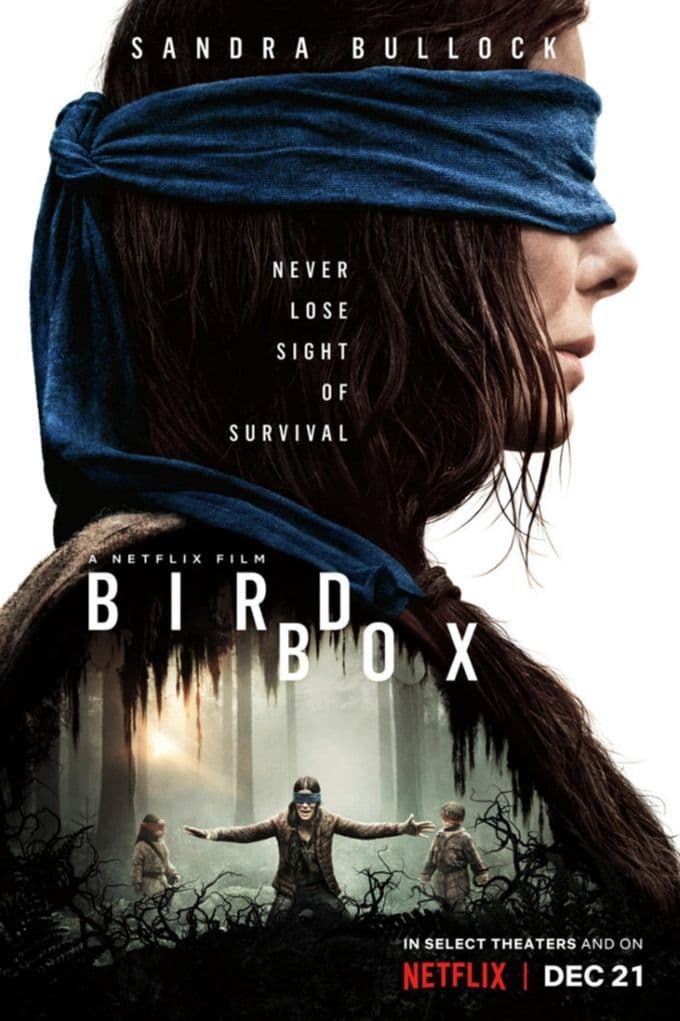 Movie Bird box (2018)