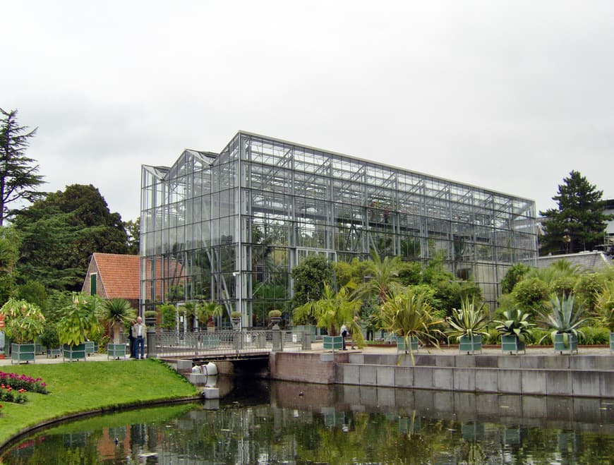 Lugar Hortus Botanicus Leiden