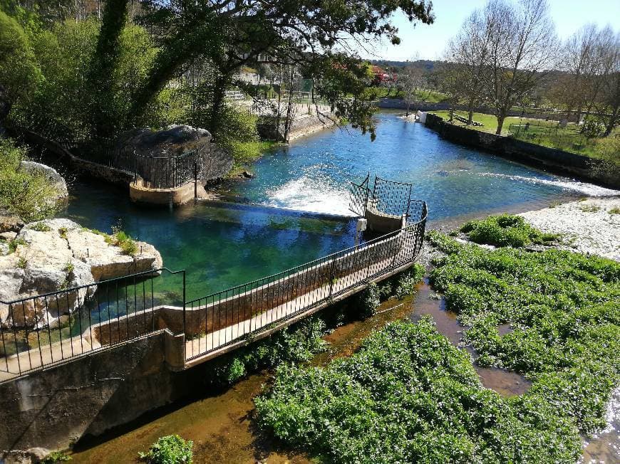 Lugar Praia Fluvial dos Olhos de Água 