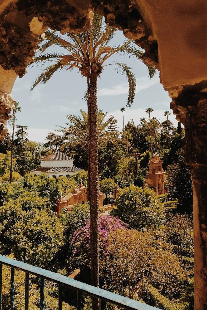 Place Real Alcázar de Sevilla