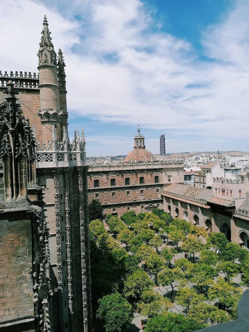 Place Catedral de Sevilla