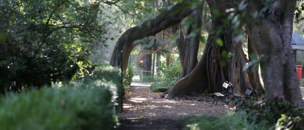 Place Jardim botânico de Lisboa