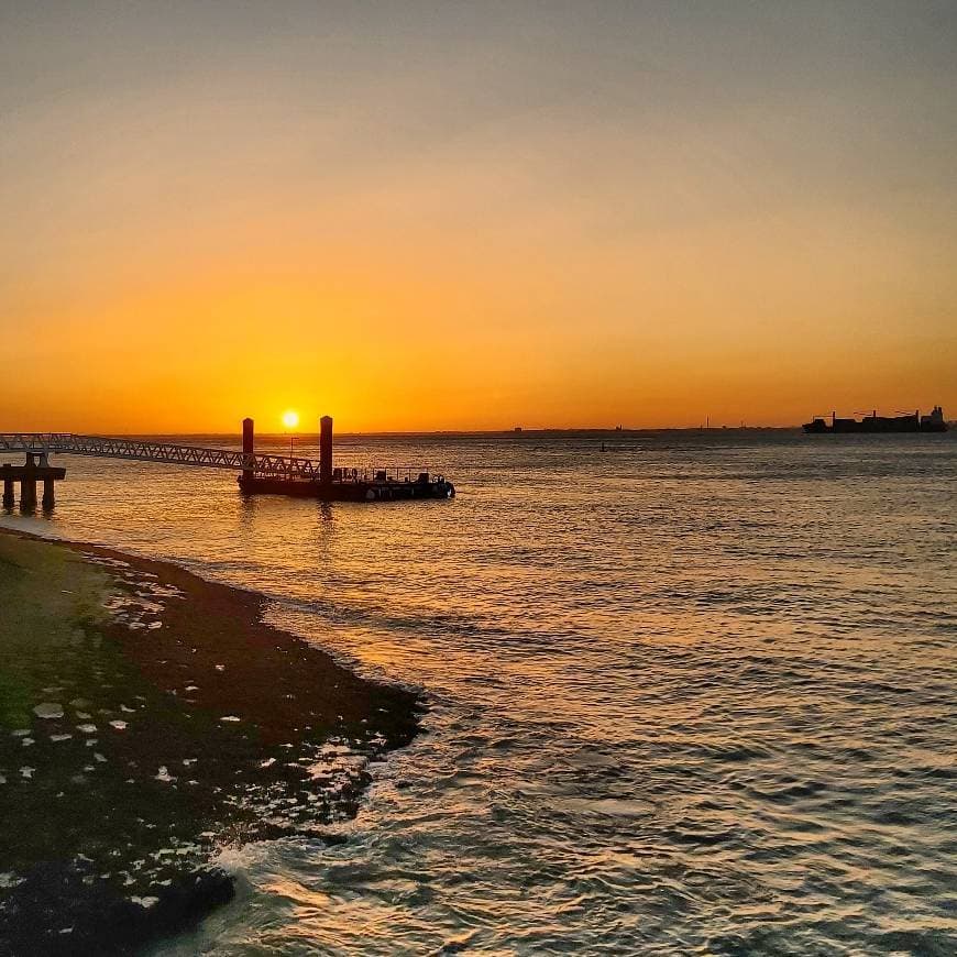 Place Ribeira das Naus