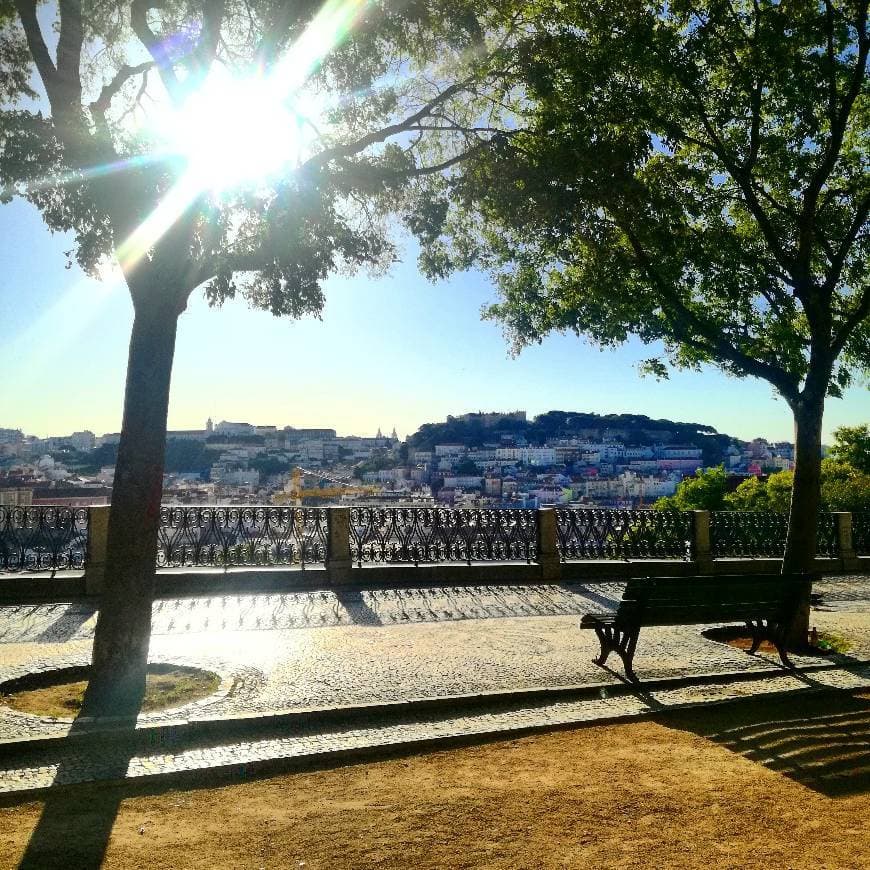 Place Jardín de São Pedro de Alcântara