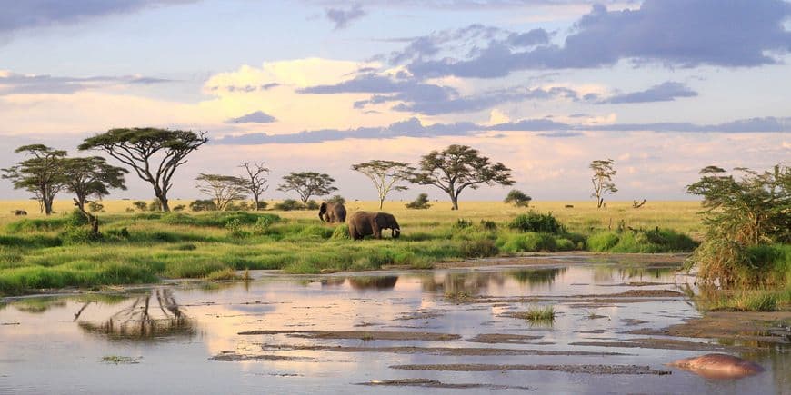 Place Serengeti National Park