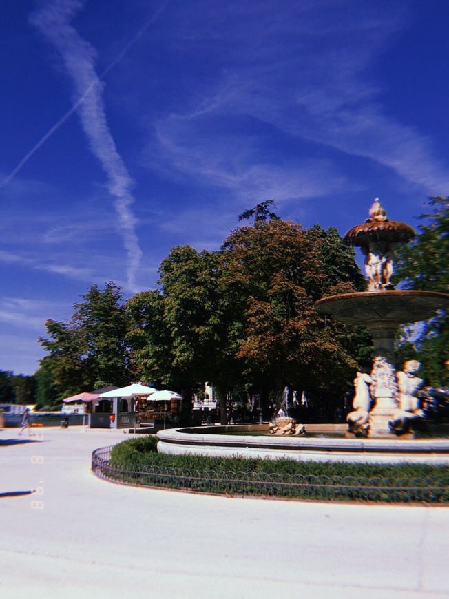 Lugar Parque de El Retiro