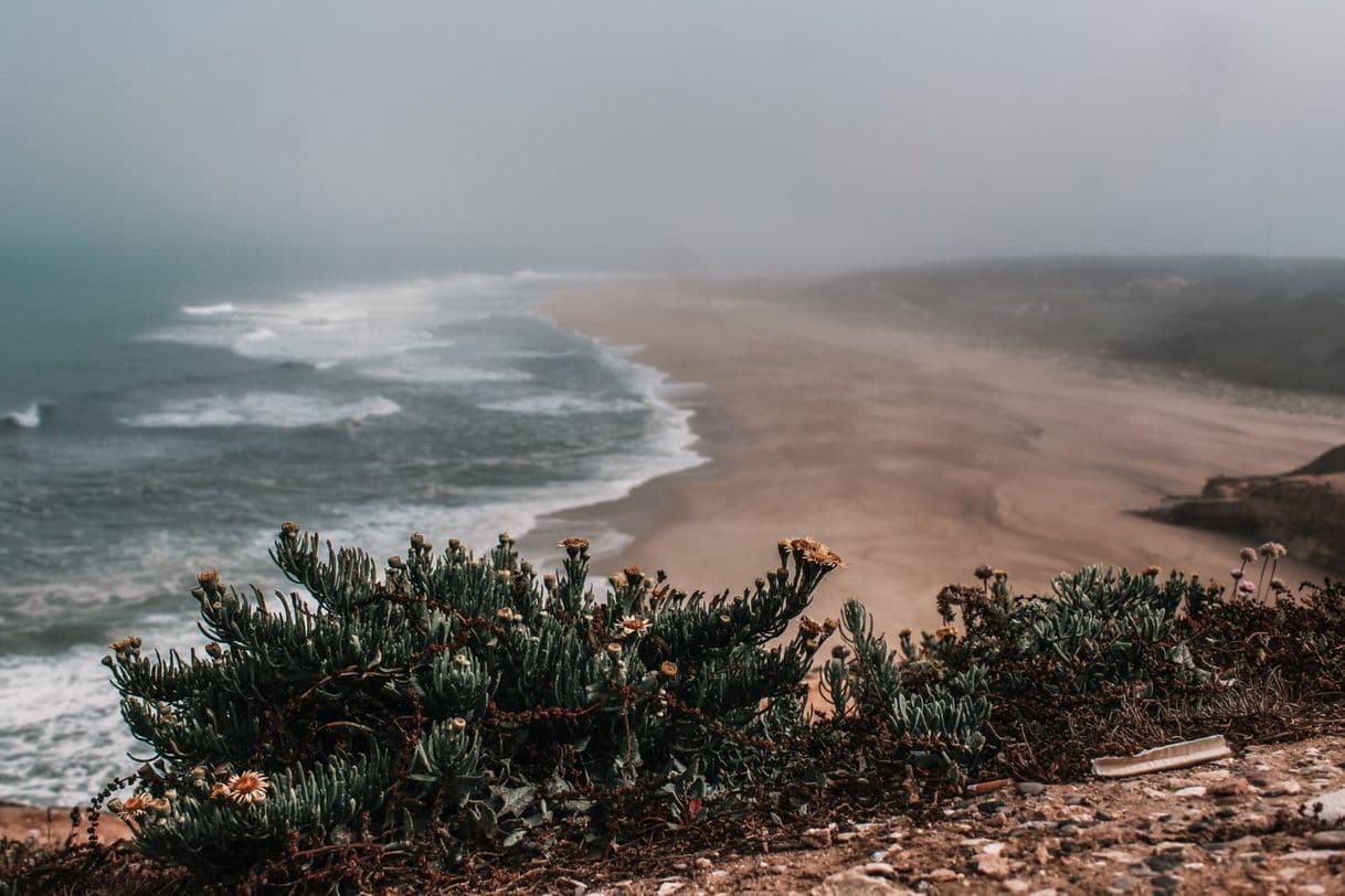 Lugar Praia do Norte