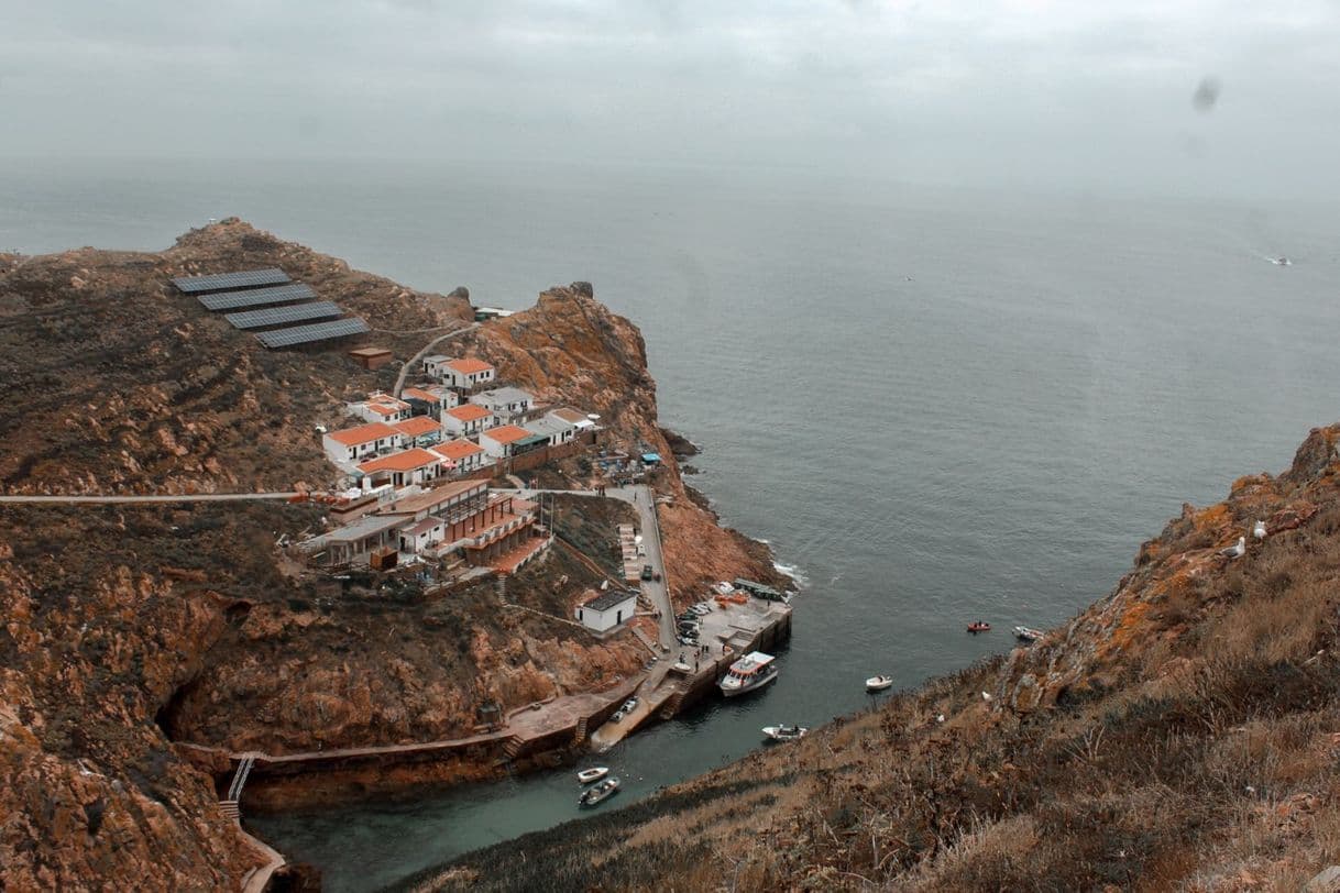 Place Berlengas