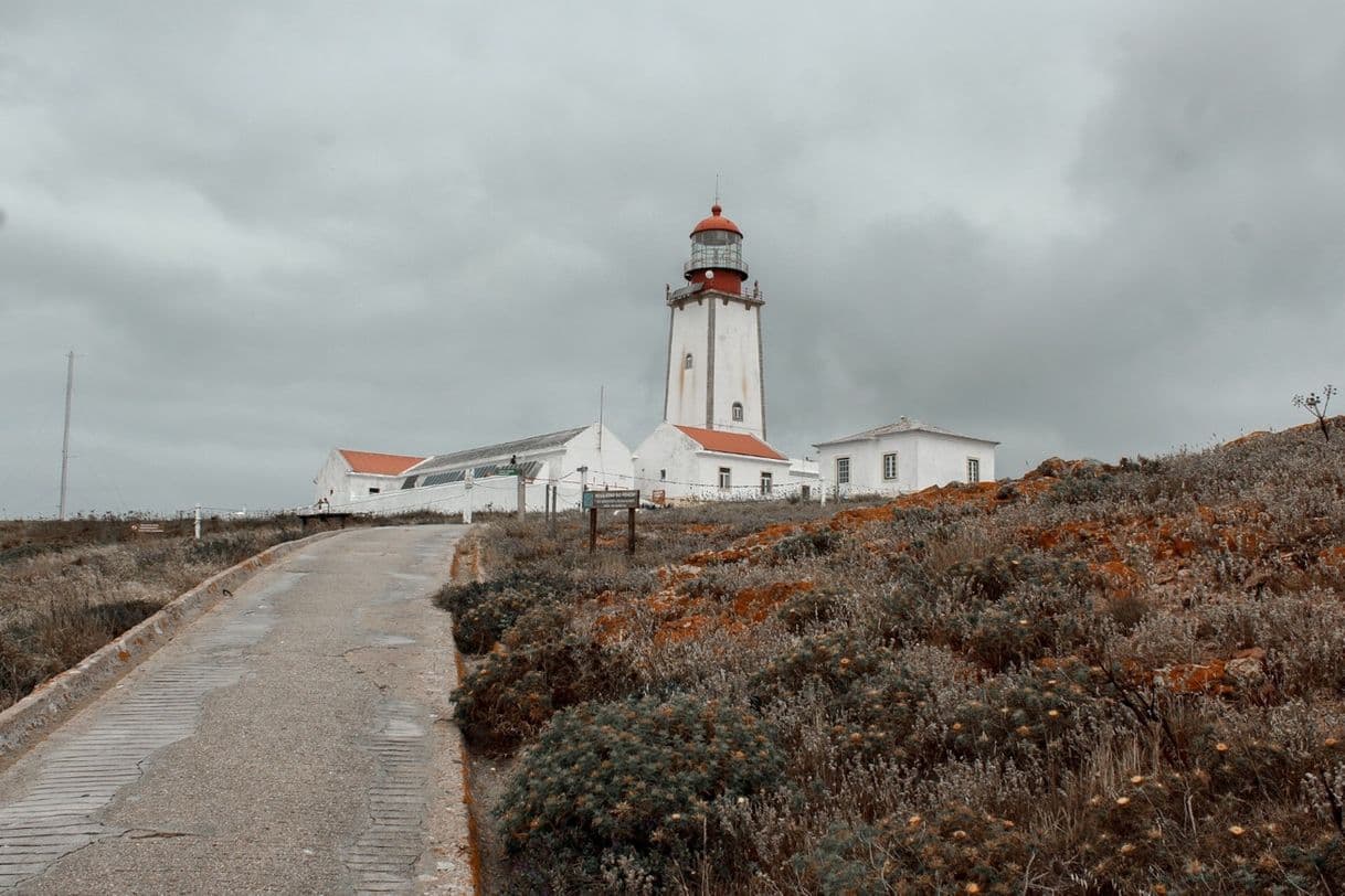 Place Faro de Berlenga