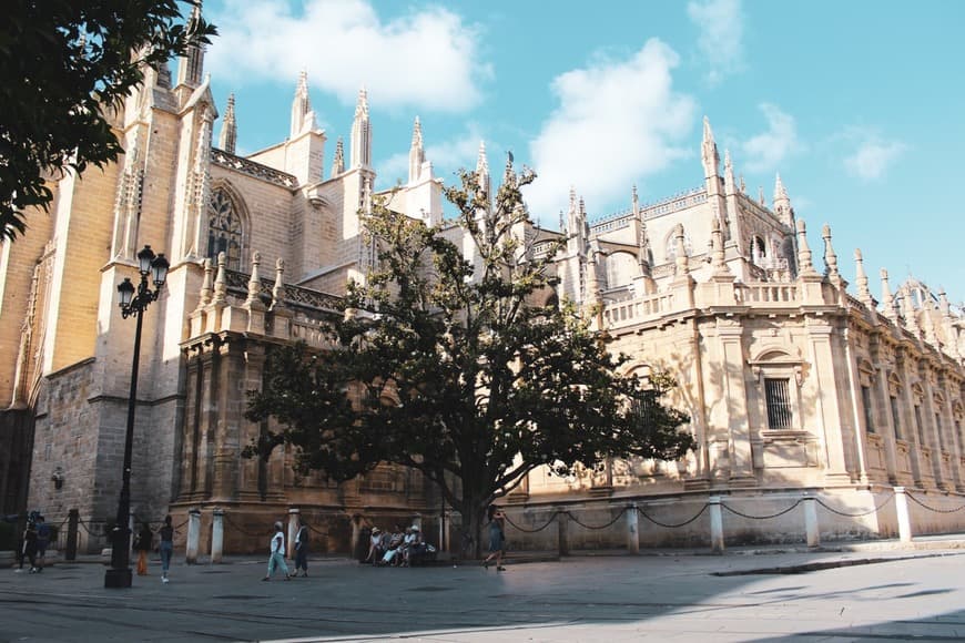 Lugar Catedral de Sevilla