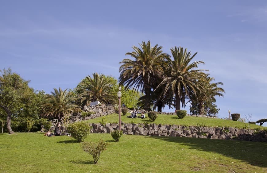 Place Jardim do Morro