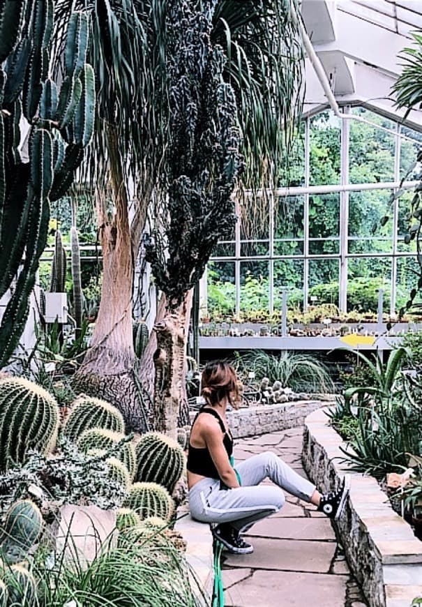 Lugar Botanic Garden of the Jagiellonian University