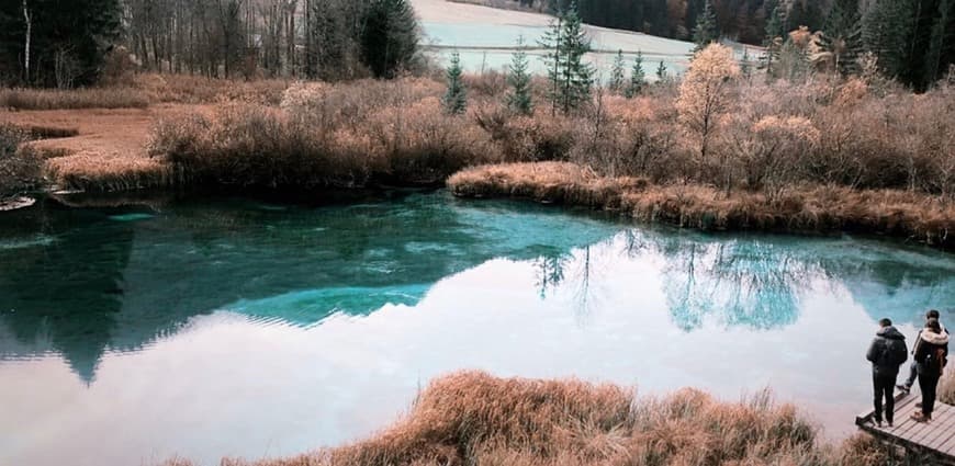 Lugar Zelenci Nature Reserve