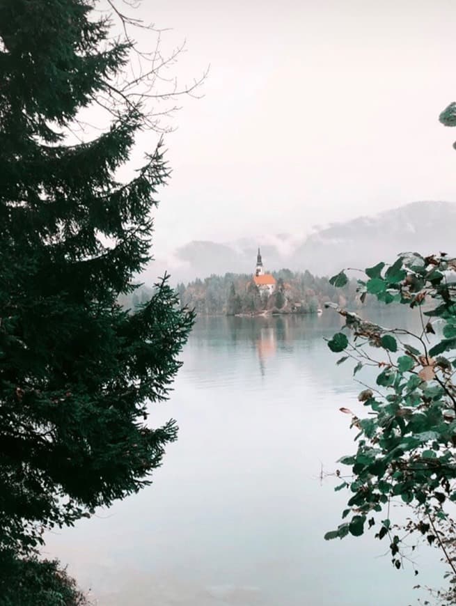 Lugar Lago Bled