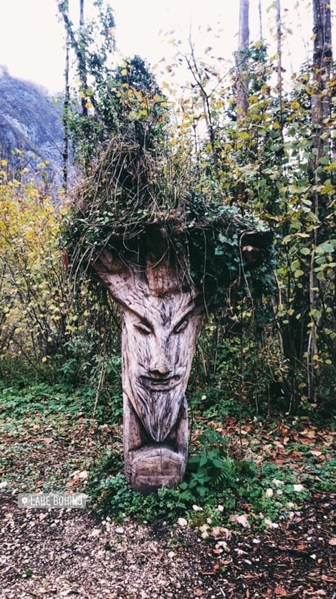 Lugar Lago Bohinj