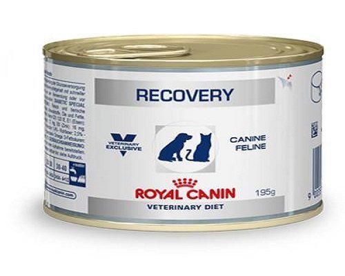 Producto Royal Canin C-11402 Diet Recovery