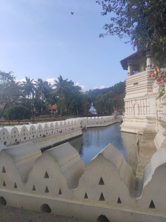 Lugar Temple of the Sacred Tooth Relic