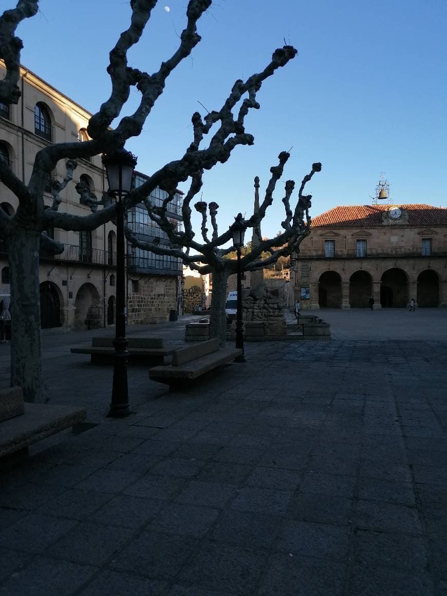 Place Plaza Mayor