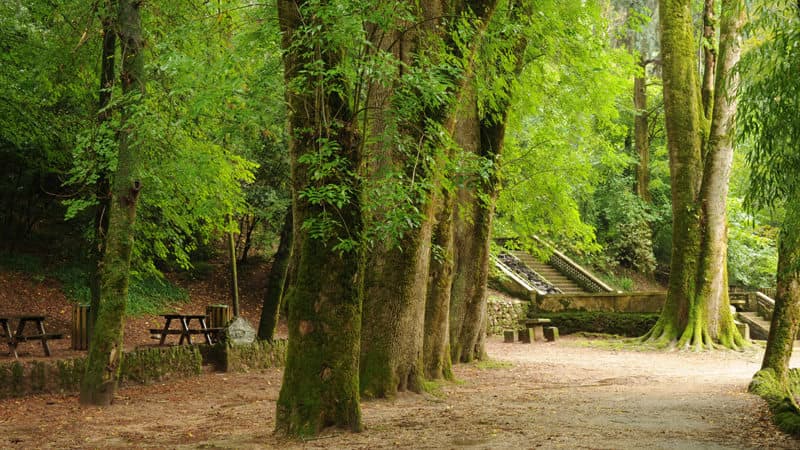 Place Serra do Buçaco