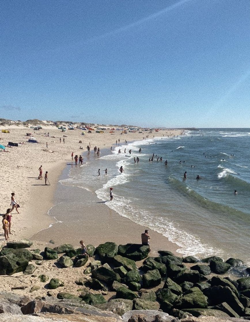 Place Praia da Costa Nova