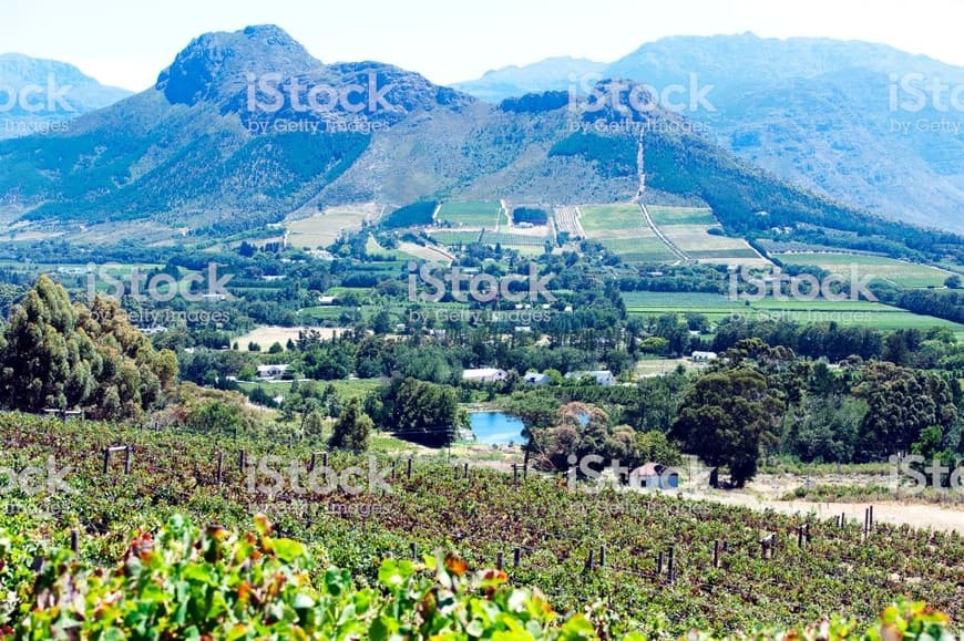 Place Franschhoek