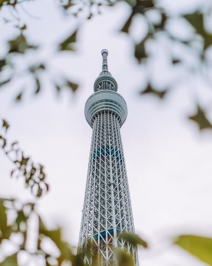 Lugar Tokyo Skytree