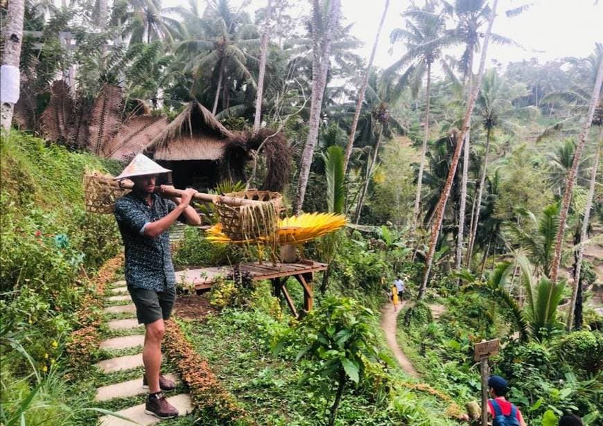 Lugar Tegallalang Rice Terrace