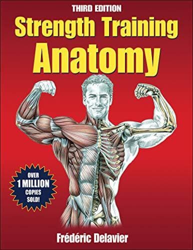 Lugar Strength Training Anatomy