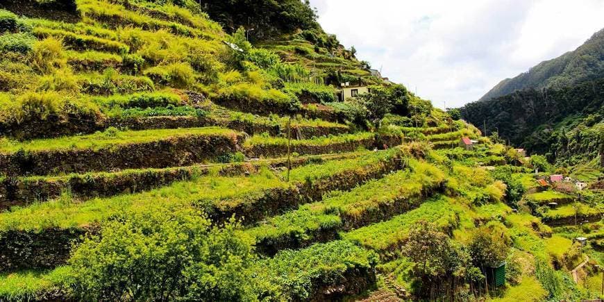 Place Levada dos Maroços