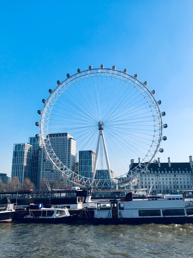 Place London Eye