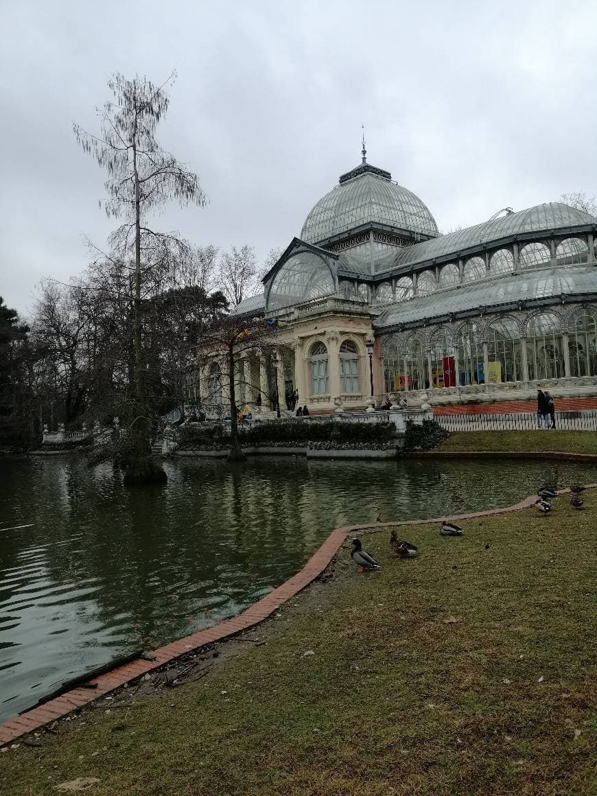 Place Palacio de Cristal