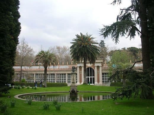 Place Real Jardín Botánico