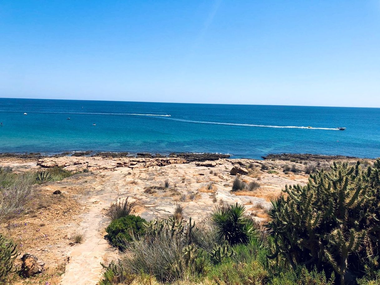 Lugar Praia da Luz