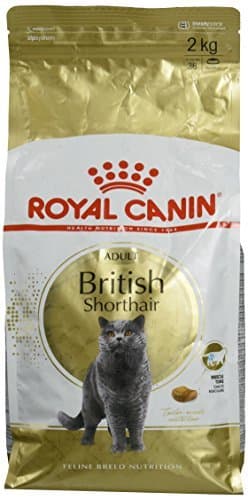 Place Royal Canin C-58665 British Shorthair