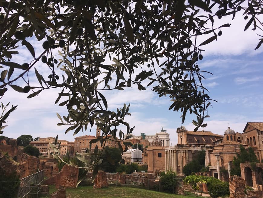 Lugar Foro Romano