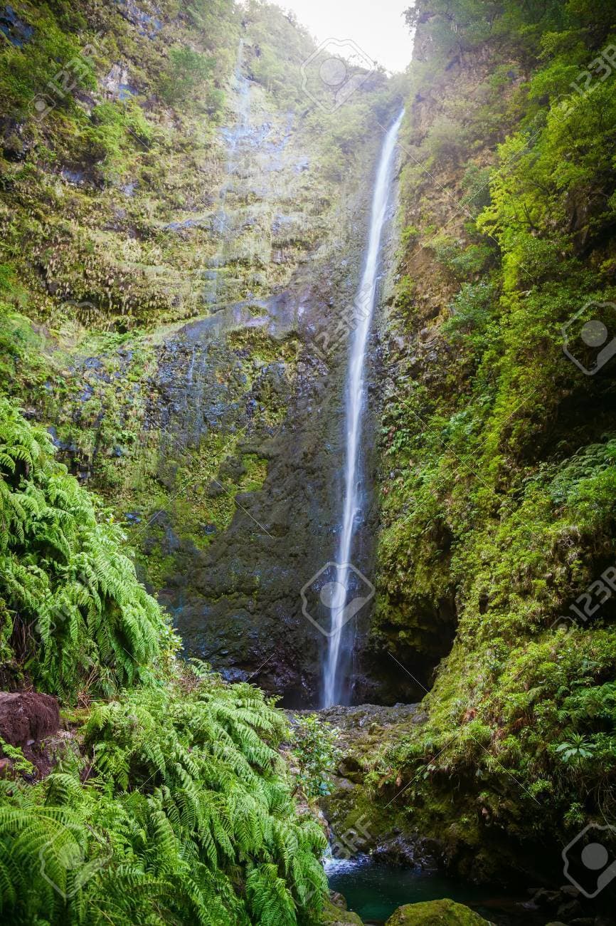 Place Caldeirão Verde