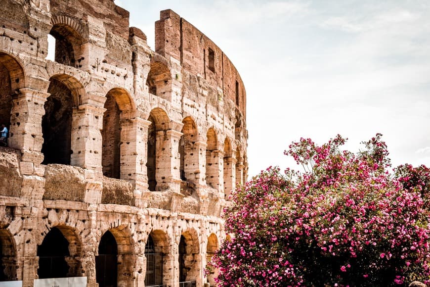 Place Coliseo de Roma