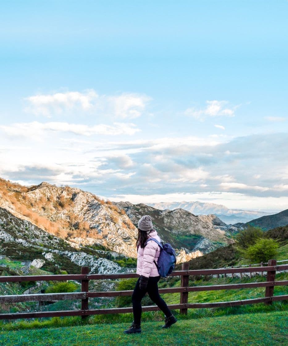 Place Picos de Europa