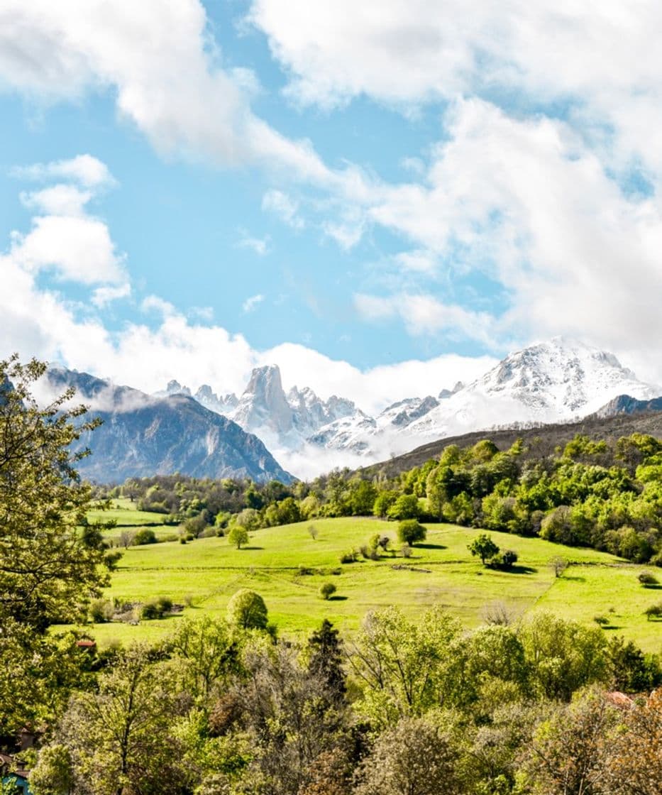 Place Picos de Europa National Park