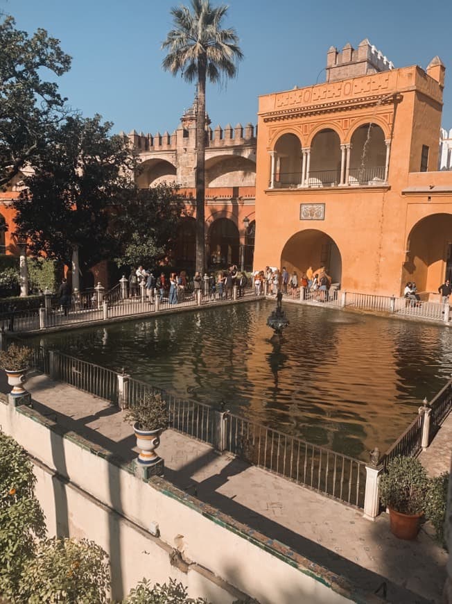 Place Real Alcázar de Sevilla