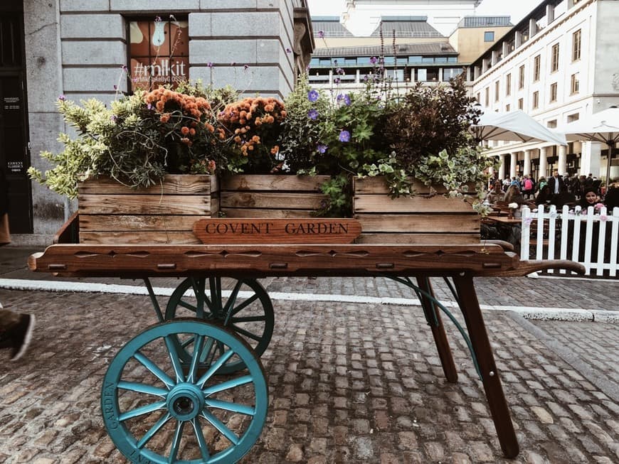 Place Covent Garden